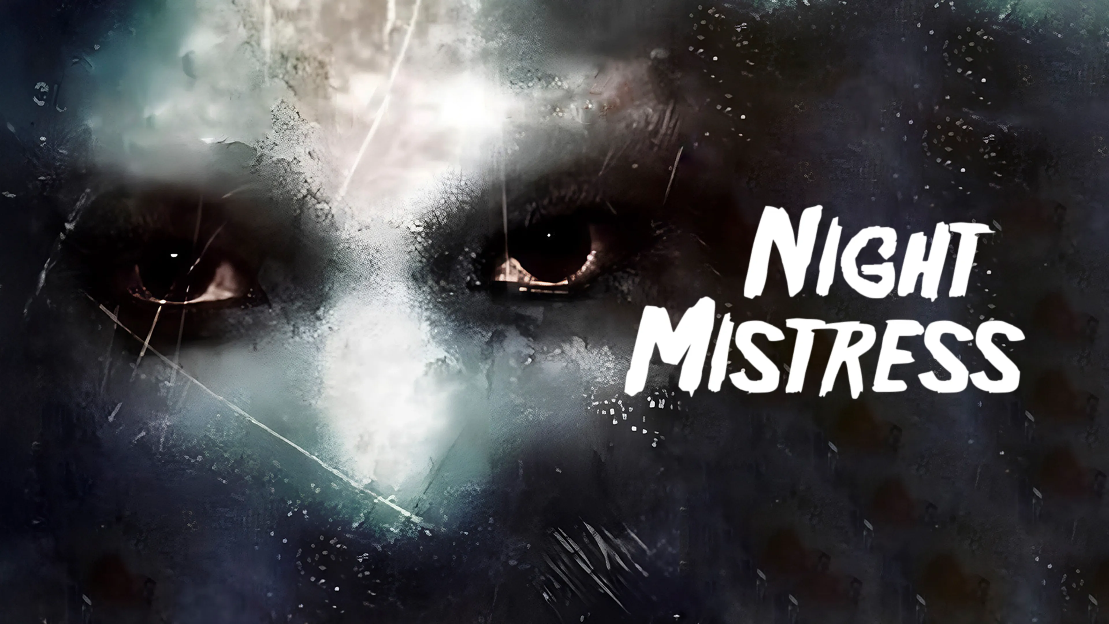 Night Mistress poster